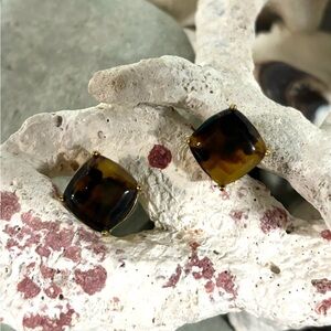 Tortoiseshell Square Stud Earrings